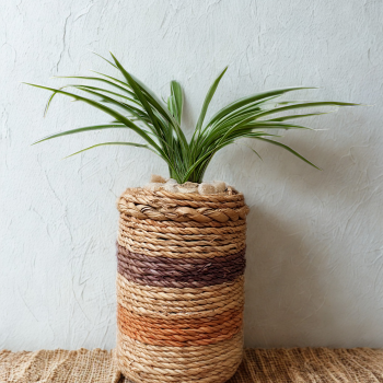 Natural raffia planter with a plum and muted orange highlight , wrapped around a tin container, holding a green indoor plant.